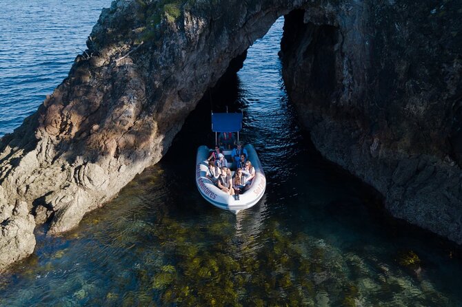 Sea Cave Adventures in the Coromandel - Wildlife and seasonal timing: plan for surprises, not guarantees