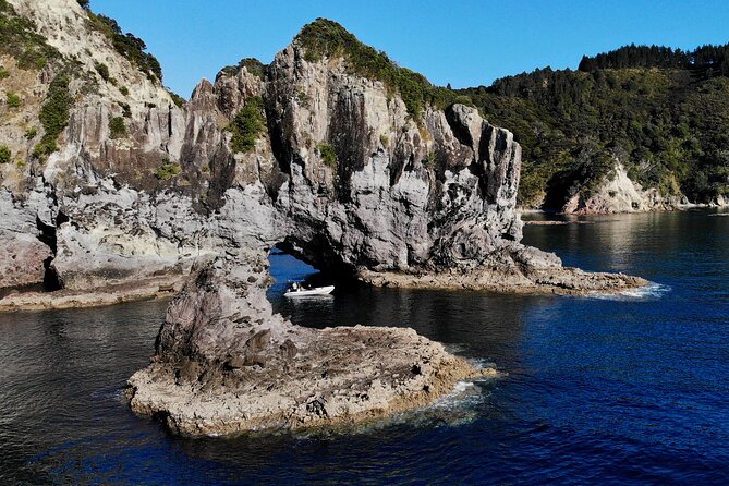 Sea Cave Adventures in the Coromandel - Time on the water: what 2 to 3 hours feels like