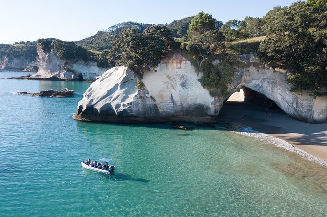 Sea Cave Adventures in the Coromandel - Price and value: is $93 fair for what you get?