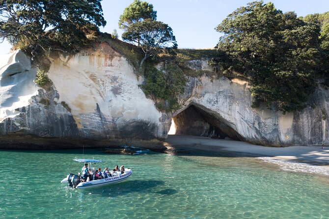Sea Cave Adventures in Whitianga - Key Things I’d Prioritize Before You Go