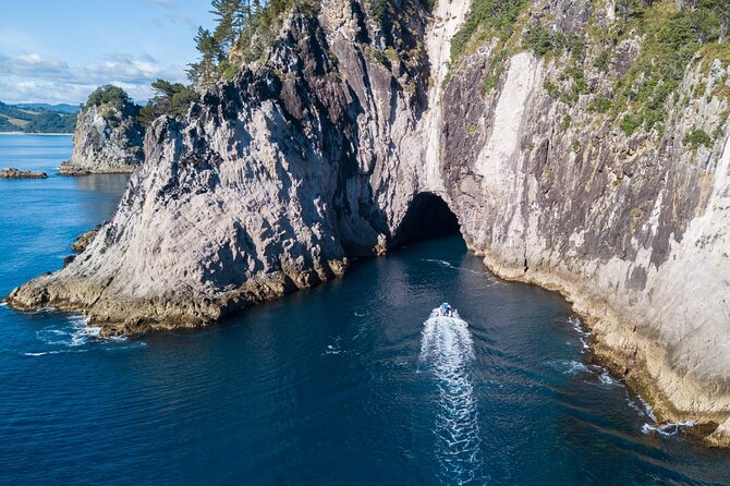 Sea Cave Adventures in Whitianga - The Snorkel Moment: Gear Included, Cold Water Is a Real Thing