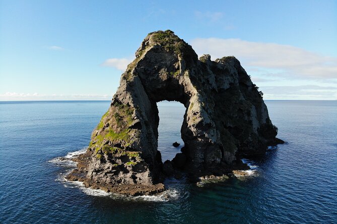 Sea Cave Adventures in Whitianga - Why the Guide Makes the Trip Feel Personal, Not Scripted