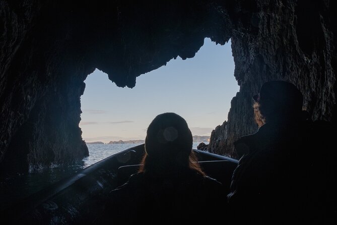 Sea Cave Adventures in Whitianga - Price and Value: Why $87 Can Make Sense