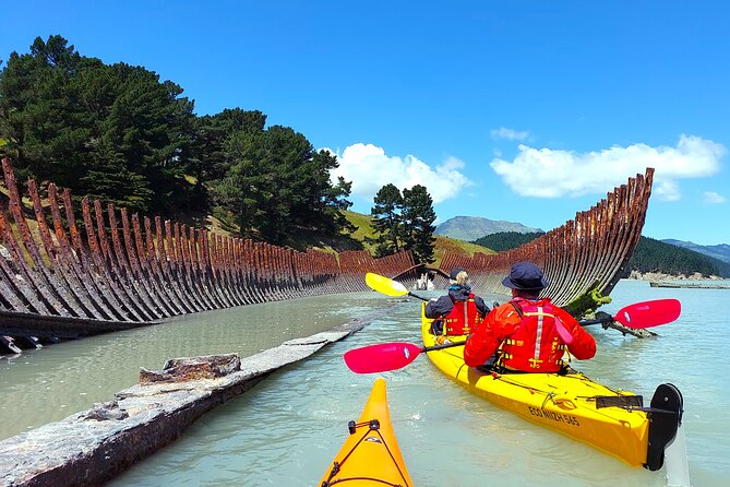 Sea Kayaking Christchurch, Lyttelton Harbour & Quail Island - Quail Island: caves, beaches, and the Ship’s Graveyard area