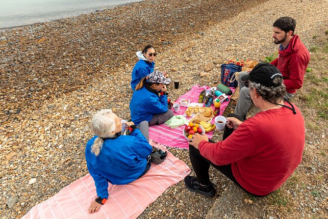 Sea Kayaking Christchurch, Lyttelton Harbour & Quail Island - The beach picnic lunch, plus time to explore