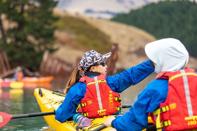 Sea Kayaking Christchurch, Lyttelton Harbour & Quail Island - Price and value: what $278.64 actually covers