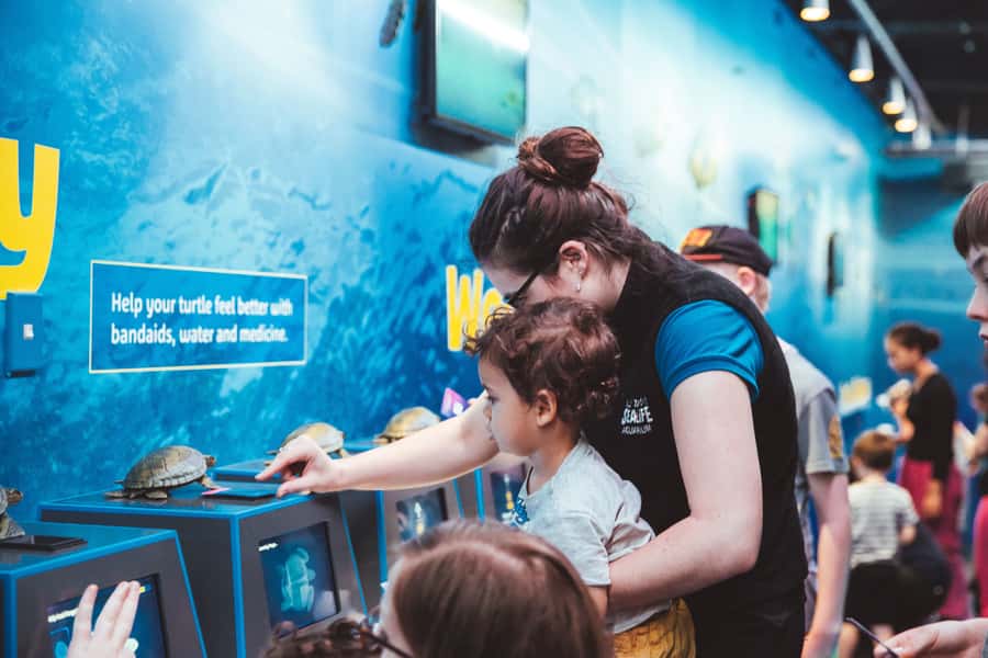 Sea Life Kelly Tarlton's Aquarium General Admission - Layout and Pacing: Self-Guided, But Not Random