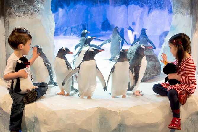 SEA LIFE Kelly Tarlton's General Admission - Key highlights worth planning around