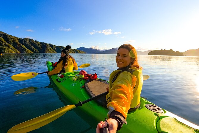 Seafood Odyssea Marlborough Sounds Cruise from Picton - Wildlife spotting: seals, dolphins, penguins, and the reality check