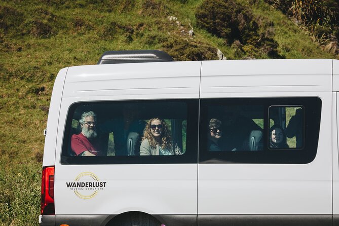 Seal Coast Safari - Exclusive access to Wellington's secret coast - A secret-coast safari that feels like you found the key