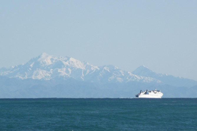 Seal Coast Safari - Exclusive access to Wellington's secret coast - Terawhiti Station, private station country and working-farm scenery
