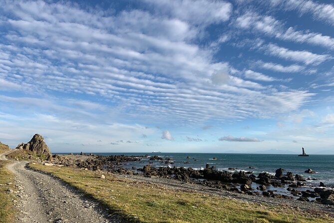 Seal Coast Safari - Exclusive access to Wellington's secret coast - Cape Terawhiti and Karori Rock, the leaning-lighthouse moment