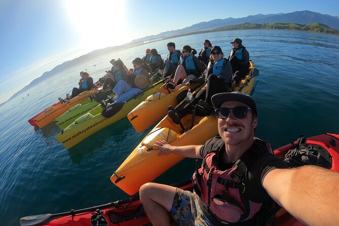 Seal Kayaking Adventure in Kaikoura - Sunset vs special seal-spotting trips in Kaikoura