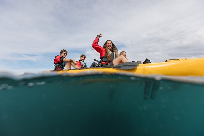 Seal Kayaking Adventure in Kaikoura - Who this Kaikoura seal kayaking tour is best for