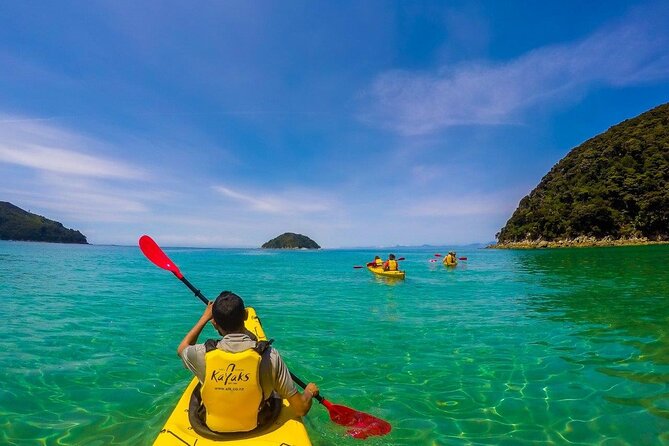 Seal Sanctuary Tour - Guided Kayaking - New Zealand - Abel Tasman Seal Sanctuary, starting in Mārahau