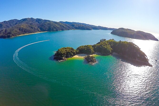 Seal Sanctuary Tour - Guided Kayaking - New Zealand - Stop time and the beach lunch by the ocean