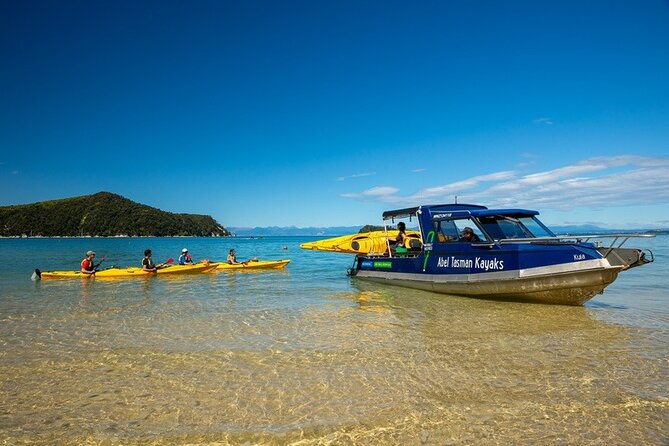 Seal Sanctuary Tour - Guided Kayaking - New Zealand - Timing and logistics from start to finish