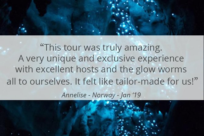 See Auckland's Secret Glow Worms - Private 8:30 pm Setup and Comfortable Auckland Pickup