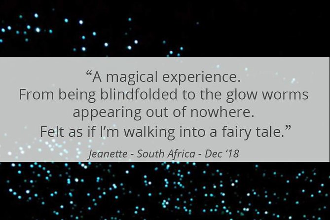 See Auckland's Secret Glow Worms - Viewing Odds: When Night Conditions Help