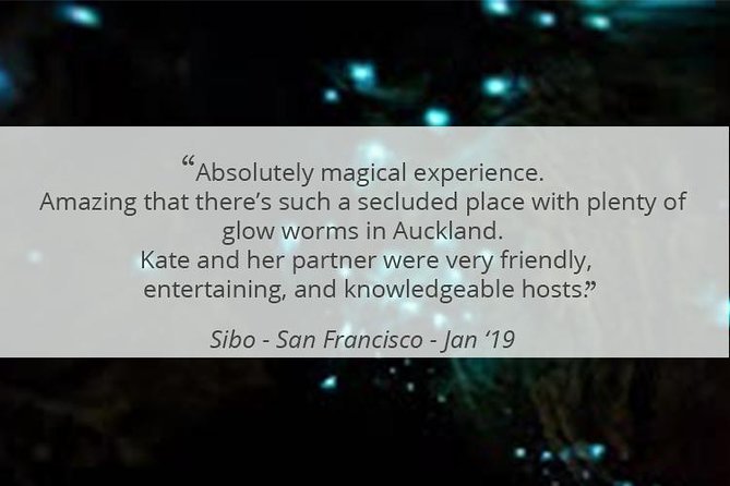 See Auckland's Secret Glow Worms - Price and Value: Is $77.57 Worth It?