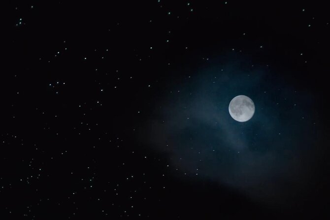 See Auckland's Secret Glow Worms - Who This Tour Suits Best in Auckland