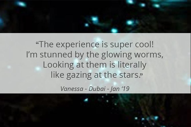 See Auckland's Secret Glow Worms - Should You Book the Secret Glow Worm Tour?
