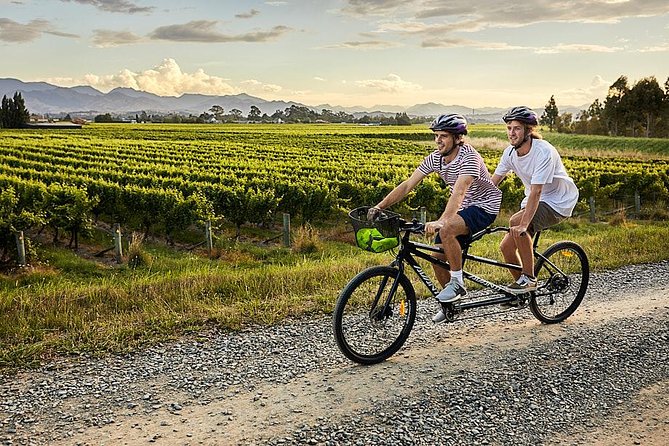Self-Guided Biking Wine Tour (full day) in the Marlborough Region. - Tastings, reservations, and lunch choices that reduce stress
