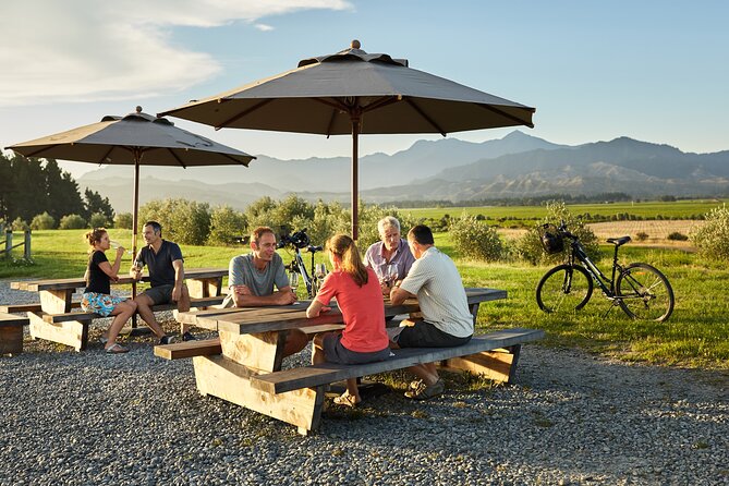 Self-Guided Biking Wine Tour (full day) in the Marlborough Region. - Roads, weather, and safety that feel real