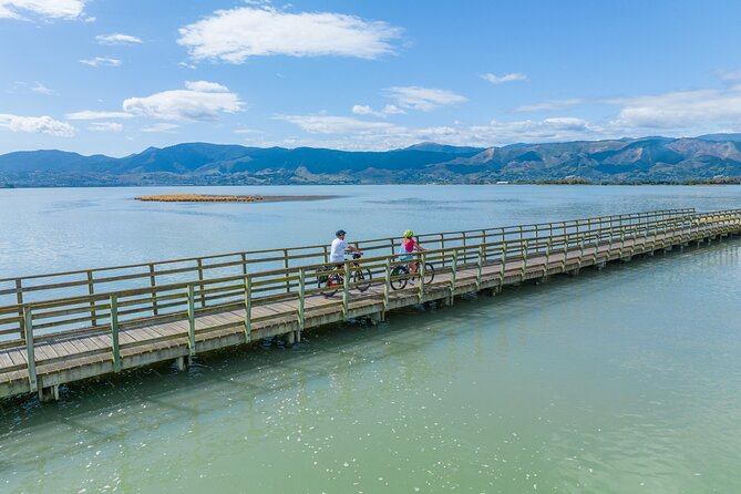 Self-guided E-bike cycle tour with private wine tasting - Mapua Option with Ferry and the Shuttle Escape Hatch