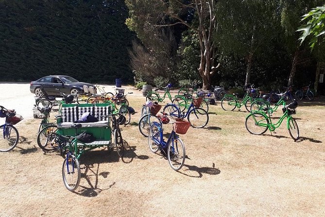 Self Guided Martinborough Wineries Bike Tour - Bicycles, helmets, and the option of e-bike help
