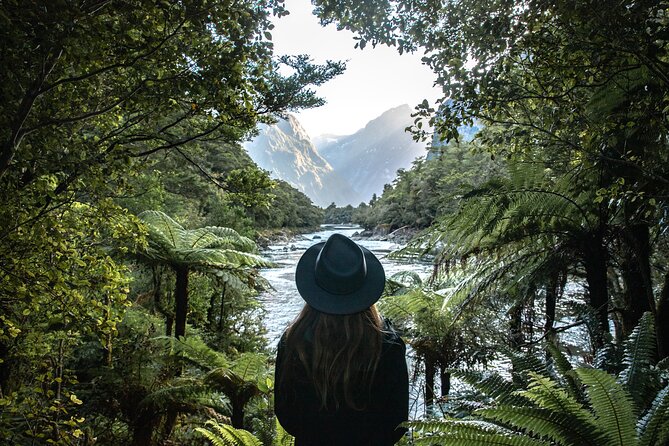 Self-Guided Milford Track Day Walk - Milford Sound - Self-guided Milford Track: what you gain, and what you manage