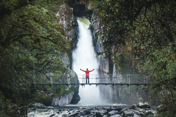 Self-Guided Milford Track Day Walk - Milford Sound - Milford Sound moments: how the short stop fits your schedule