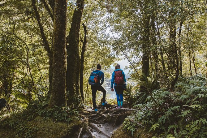 Self-Guided Milford Track Day Walk - Milford Sound - Boat transport, timing, and rainy-day reality in Fiordland