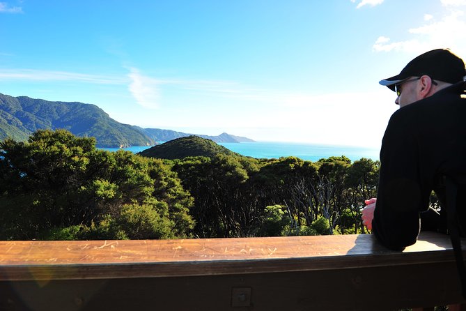 Self-Guided Queen Charlotte Track Walk from Picton - On the Track: Pace, Terrain, Shoes, and Rain Reality