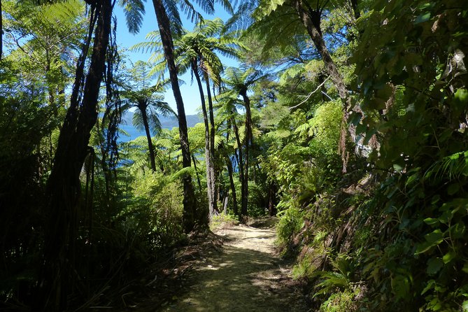 Self-Guided Queen Charlotte Track Walk from Picton - Price and Value: Is $59.58 Worth a Full Day?
