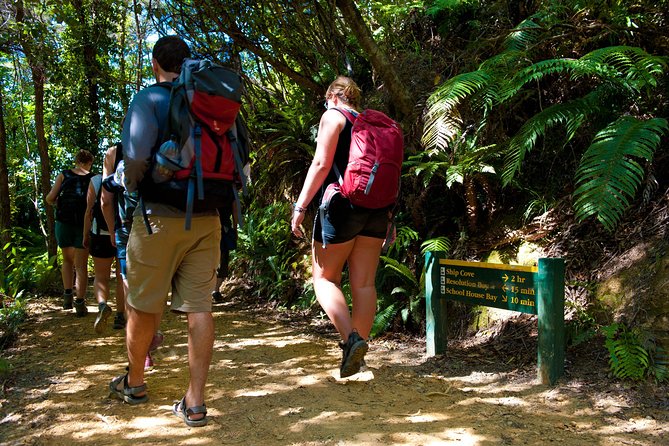 Self-Guided Queen Charlotte Track Walk from Picton - Choosing Your Self-Guided Walk: Ship Cove, Endeavor Inlet, Torea Bay