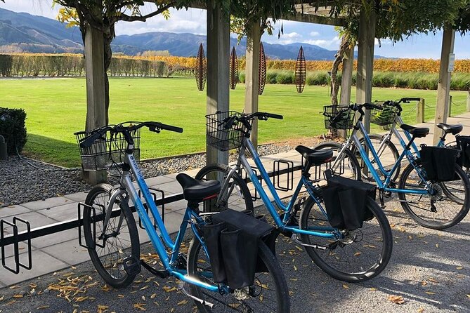 Self-Guided Wine Tours by Bike with Lorelle & Greg - Safety, ID rules, and the practical touches I’d repeat