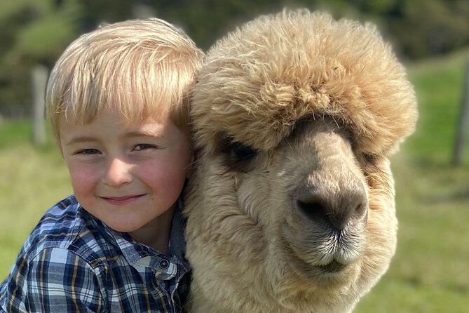 Shamarra Alpaca Farm Tours - The Staff Makes the Tour: Names You Might Hear and What They Teach