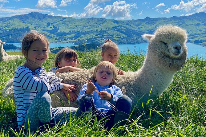 Shamarra Alpaca Farm Tours - What to Bring (Simple Stuff That Helps)