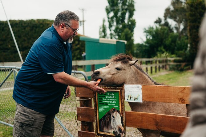 Sheep Farm Day Trip from Christchurch + Lunch and Winery visit. - Who should book, and who might want a different plan