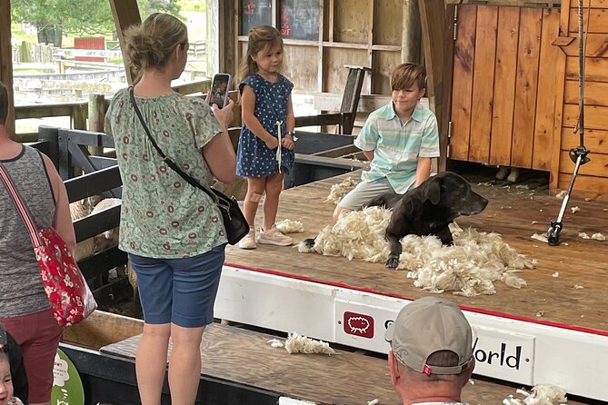Sheep World Country Tour from Auckland - Wine option, honey shopping, and how to budget without surprises