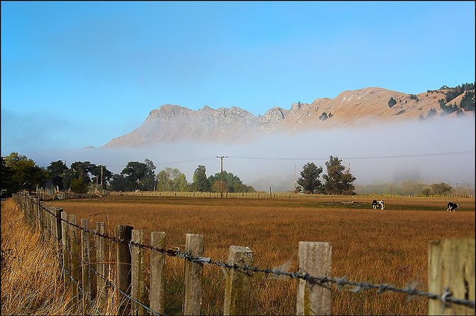 Shore Excursion: 4-Hour Discover Hawkes Bay and Napier Tour - Stop 1: Hastings and scenic roads, not just a drive-through