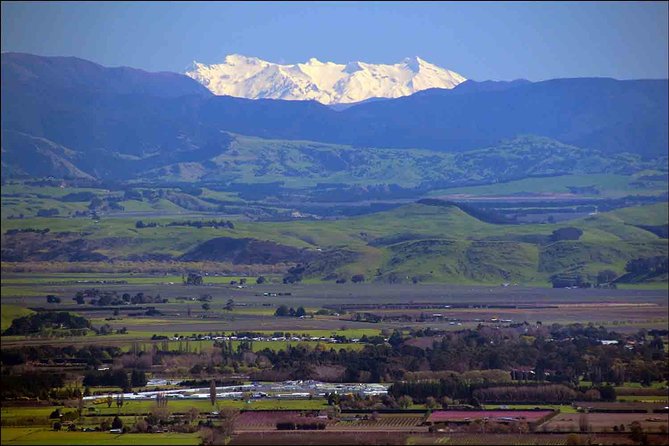 Shore Excursion: 4-Hour Discover Hawkes Bay and Napier Tour - Stop 4: Te Mata Peak for the 360-degree lookout (399 meters up)