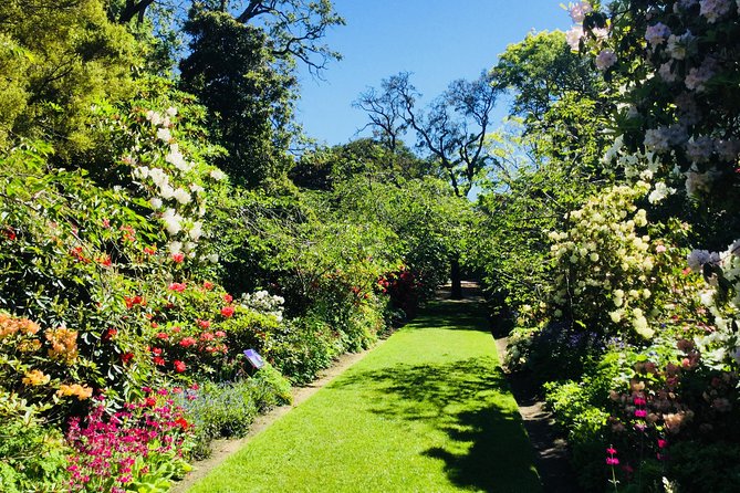 Shore Excursion: Dunedin City, Otago Peninsula, Castle Gardens & Olveston Tour - Comfort, pace, and what to bring for a 6-hour shore day