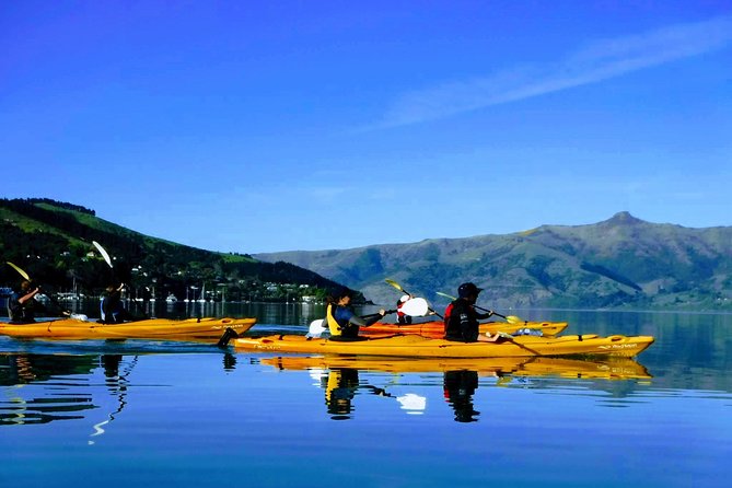 Shore Excursion Guided Sea Kayaking through Akaroa Marine Reserve - Key things to know before you paddle
