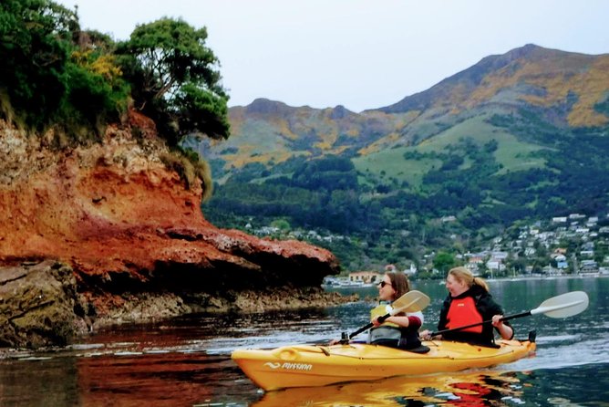 Shore Excursion Guided Sea Kayaking through Akaroa Marine Reserve - Price and timing, what you’re really paying for