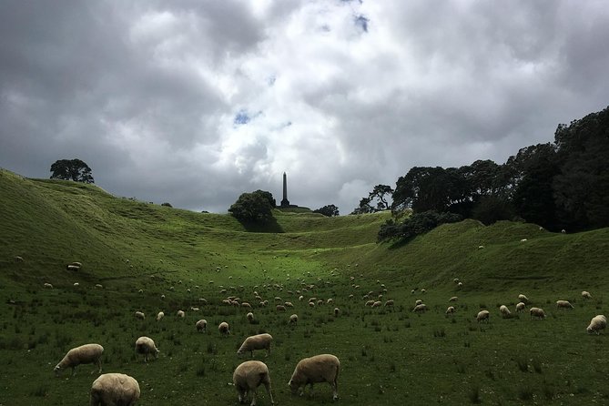 Shore Excursion: Half-Day Auckland Volcanoes Tour - Auckland’s Volcanoes in One Half-Day, With Summit Walking