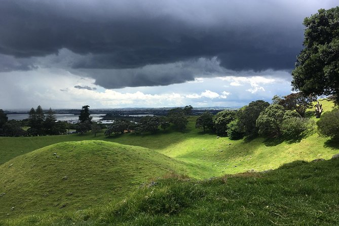 Shore Excursion: Half-Day Auckland Volcanoes Tour - Stop 5: Mt Eden Crater Walk and City Views That Click