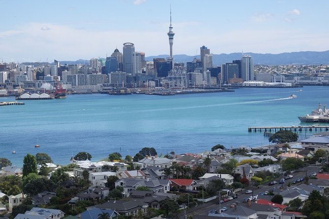 Shore Excursion: Half Day Small Group Auckland Scenic Tour - 4 HOURS - Key highlights to look for
