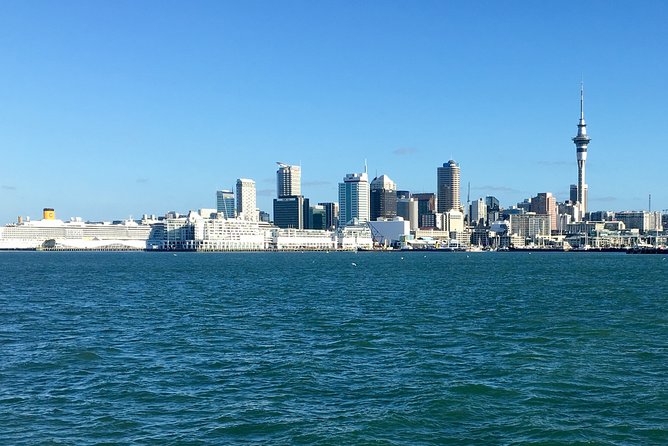 Shore Excursion: Half Day Small Group Auckland Scenic Tour - 4 HOURS - The guides make the schedule feel easy, not rushed